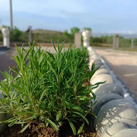 Peaceful Family With Garden, Terrace & Bbq Near Zadar & Nin Σπίτι διακοπών